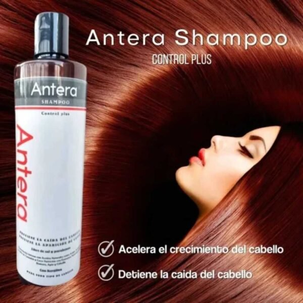 Shampoo Antera